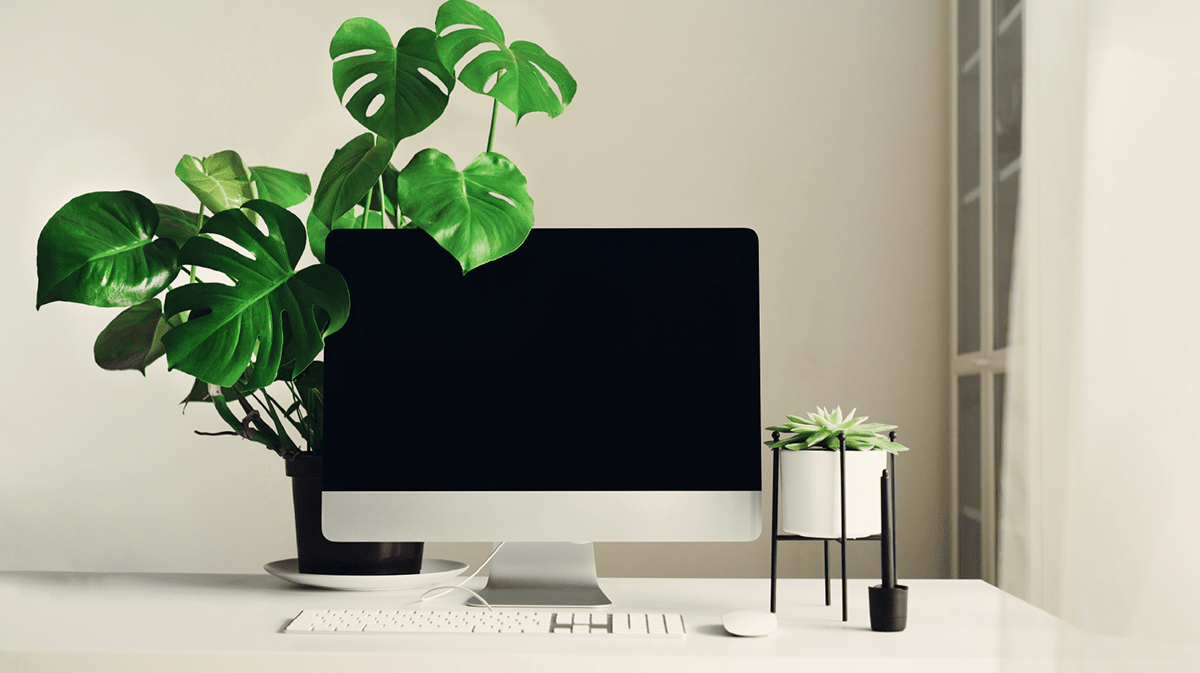 Rappresentazione visiva dell'articolo: Green economy? Banca Widiba sul podio come Green Star!
